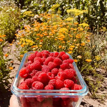 Puha Tatil Evi Vrakúň