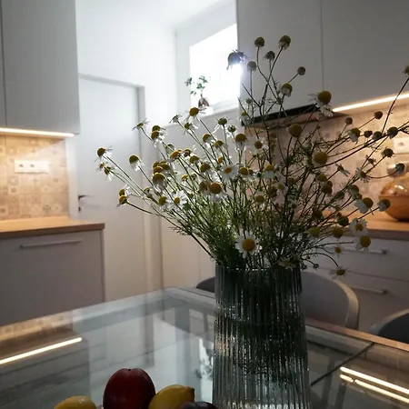 Tatil Evi Puha Vrakúň