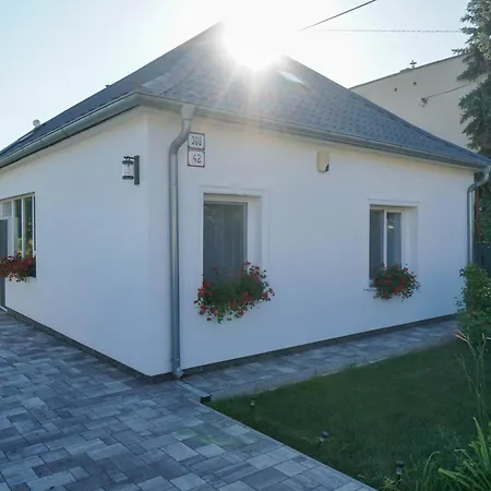 Puha